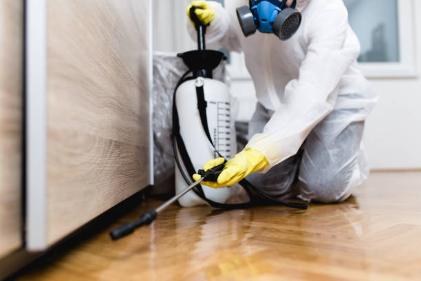 Best Flea Control Services  in Mars, PA