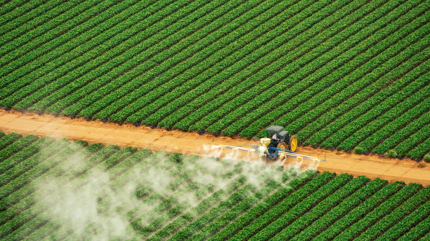 Reliable Mars, PA Pest Control Solutions