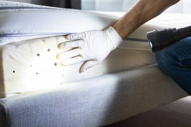 Best Pest Control Cost  in Mars, PA